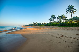 Bentota Beach, Sri Lanka, Coast, Sea, Palms, Beach, HD wallpaper