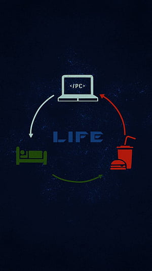 Coding iPhone, HD phone wallpaper