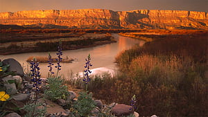 Bing : Big Bend National Park, HD wallpaper