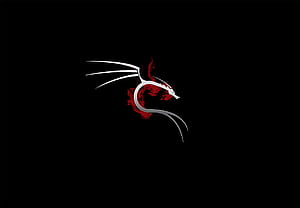 Discover the power of ethical hacking with Kali Linux, HD wallpaper