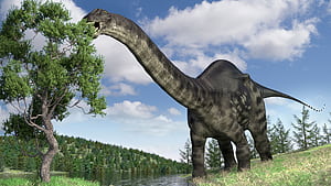 Why was the name 'Brontosaurus' brought back from the dead?, HD wallpaper
