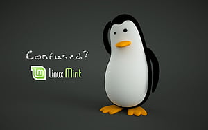 Linux Mint & Background for PC, HD wallpaper