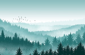 Misty Pine Forest Landscape Wall Mural, HD wallpaper