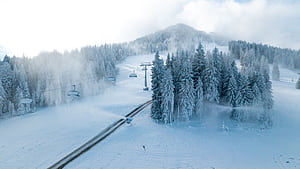 Environment & sustainability, Ski Slopes, HD wallpaper