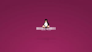 Linux Penguin, linux, penguin, computer, ubuntu, HD wallpaper