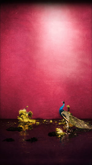 Disc LP Ware Official Store, Jessie Ware, HD phone wallpaper