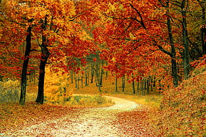 Time For Fall Computer, HD wallpaper