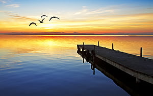 the sky, the sun, sunset, river, seagulls, the evening, pierce, the bridge for mobile and , section пейзажи, resolution, 8000x5000, HD wallpaper