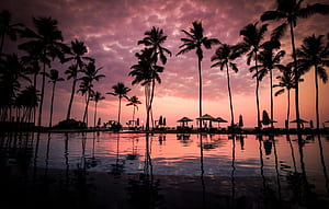 pool, sunset, clouds, palm trees, Sri Lanka, Negombo Beach, Negombo, South Asia for , section пейзажи, HD wallpaper