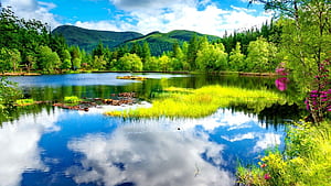 Tranquil Spring Reflections: Nature of a Blue Lake, Spring Mountain Lake, HD wallpaper