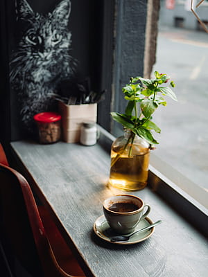 Cat Coffee ., HD phone wallpaper