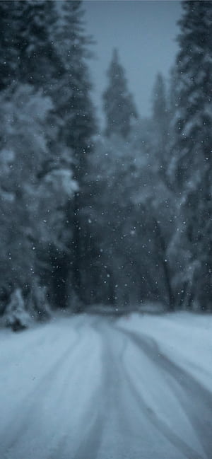 iPhone 13 Winter Forest, HD phone wallpaper