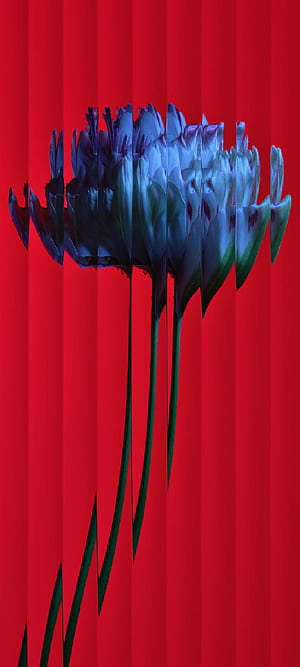 Nothing Phone 1 full resolution F+ phone, Nothing 3a, HD phone wallpaper