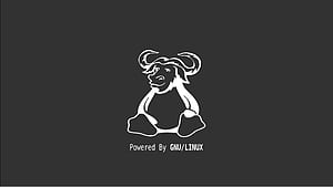 Powered By GNU Linux, HD wallpaper