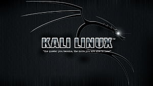 Kali Linux, Kali Linux Logo, HD wallpaper