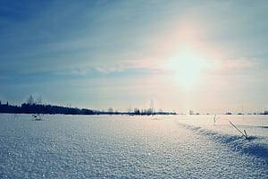 winter, field, the sun, snow, landscape, nature, dawn, glitters for mobile and , section пейзажи, resolution, Snowy Plains, HD wallpaper