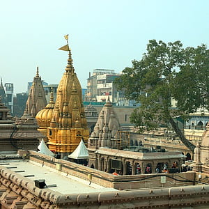 Kashi Vishwanath Temple Vrindavan: Kashi Vishwanath Temple Timings, Route Map, Puja, History, Facts, HD phone wallpaper