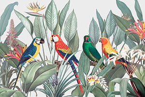 Redoute Jungle Parrots Wall Mural and Stick Wall Murals Type II Vinyl, Jungle Birds, HD wallpaper