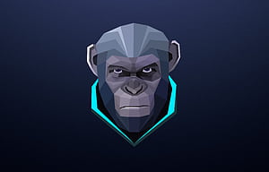Blue Monkey, HD wallpaper