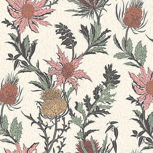 Thistle, HD phone wallpaper