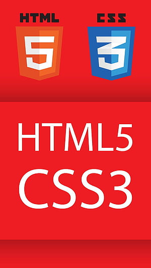 Developer, code, computer, science, technology, website, phone, HTML and CSS, HD phone wallpaper