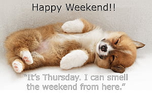 Fun Weekend, HD wallpaper