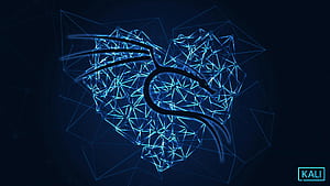 Kali 2022.1 release Valentine, Kali Linux Blue, HD wallpaper