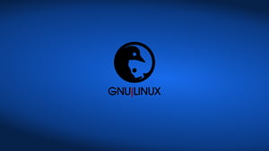 Linux GNU, ubuntu, logo, computer, linux, HD wallpaper