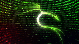 Kali Linux Hacker, Hacking, HD wallpaper