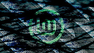 Linux Mint, Linux, Technology, HD wallpaper