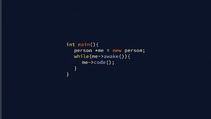 Java Developer, HD wallpaper