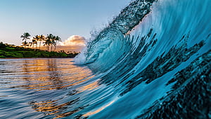 Ocean Waves , Palm trees, Tropical beach, 2560x1440 Ocean, HD wallpaper