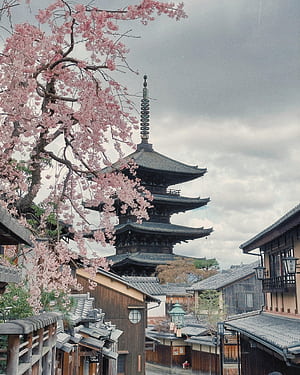 First time in Japan and I absolutely loved Kyoto, Kyoto Spring, HD phone wallpaper