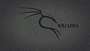 Getting Started With Kali Linux. Linux, Kali linux tutorials, Kali, Pentest, HD wallpaper