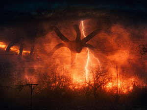 Upside Down Stranger Things, HD wallpaper