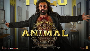 How Ranbir Kapoor Got A Pot Belly In Animal? Viral Video Shows The Process. Watch Here. Bollywood News Indian Express, Ranveer Kapoor Animal, HD wallpaper