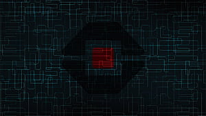 Software Developer, HD wallpaper