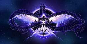 Kingslayer Zero, HD wallpaper