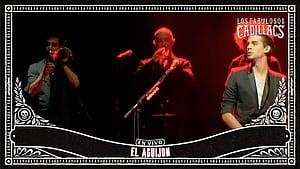 CJ Video by Los Fabulosos Cadillacs, HD wallpaper