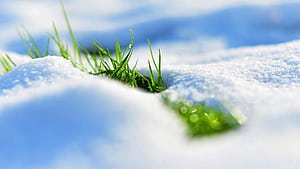 Unsorted. Spring , Spring , Spring, Winter Spring, HD wallpaper