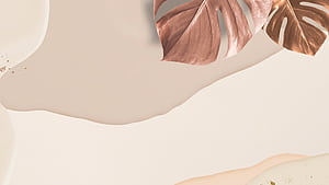 Spring Neutral, HD wallpaper