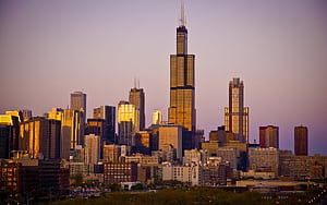 Sears Tower, HD wallpaper