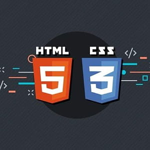100DaysofCode Chapter 1 HTML and CSS Basics Community, HD phone wallpaper