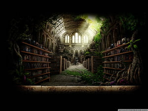 Magic Library, HD wallpaper