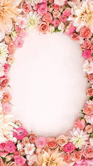 Rose Frame, HD phone wallpaper