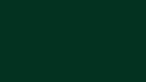 Dark Green Solid Color Background, HD wallpaper