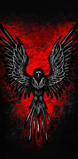 Eagle, Red Eagle, HD phone wallpaper