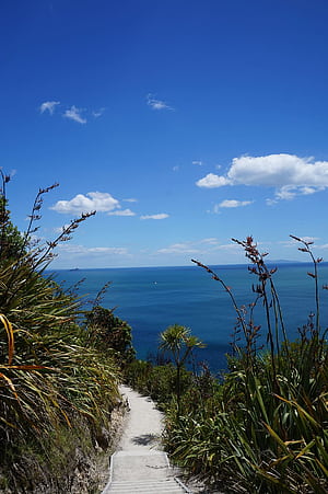 Mount maunganui, HD phone wallpaper