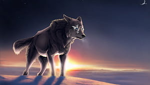 Magic Wolves, HD wallpaper