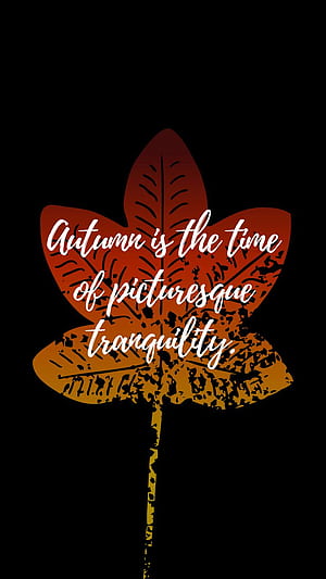 Fall Tranquility, HD phone wallpaper
